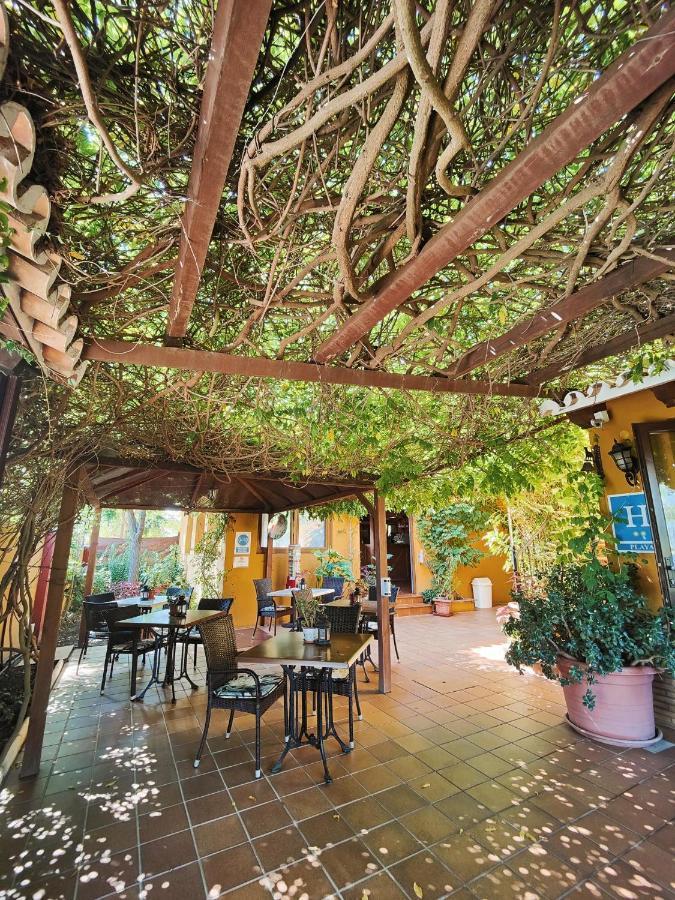 Hotel Doñana Blues Matalascañas Exterior foto