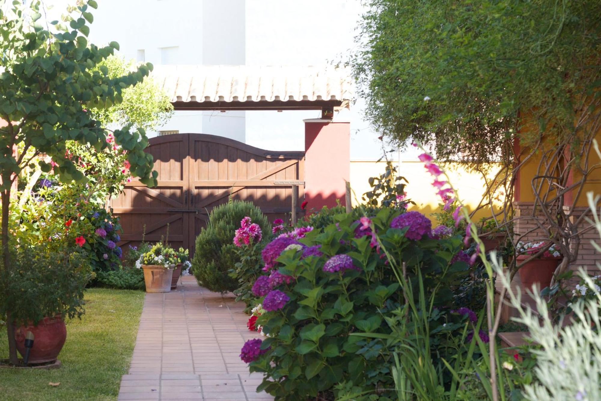 Hotel Doñana Blues Matalascañas Exterior foto