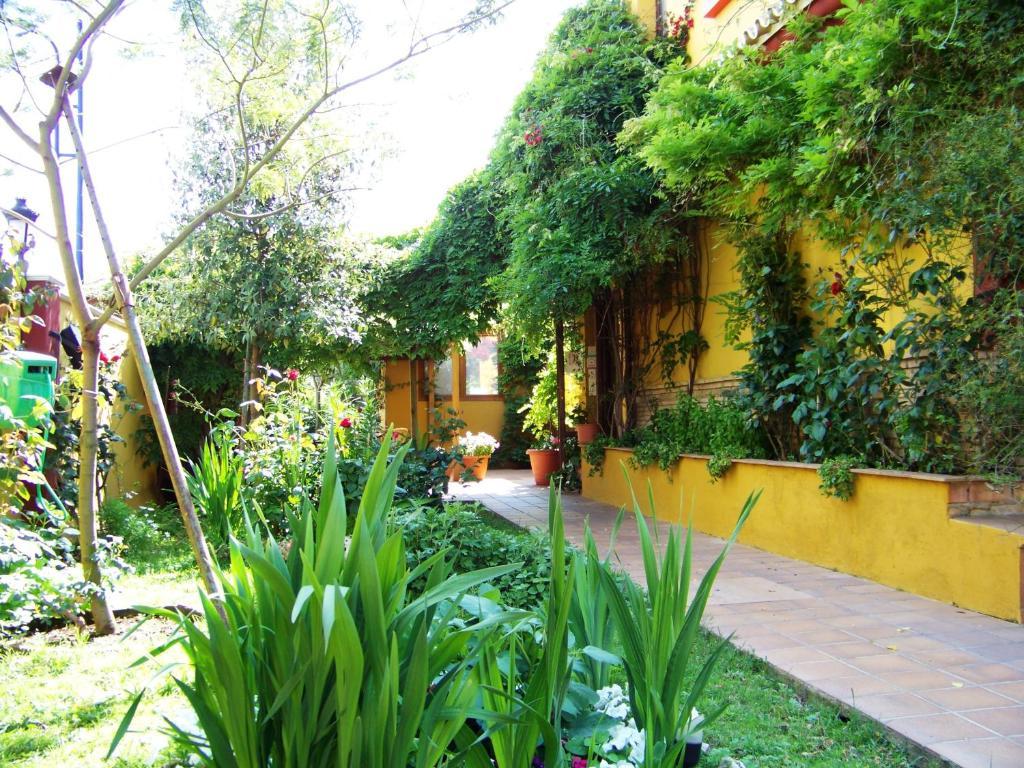 Hotel Doñana Blues Matalascañas Exterior foto